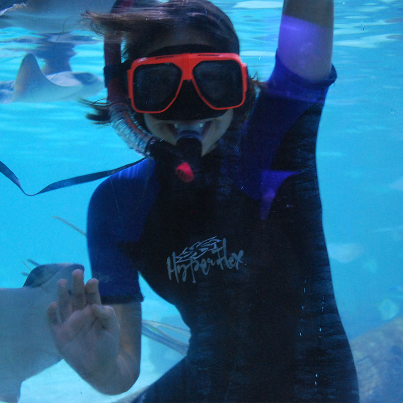 guest enjoys snorkeling adventure