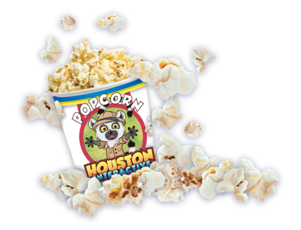Popcorn Bucket