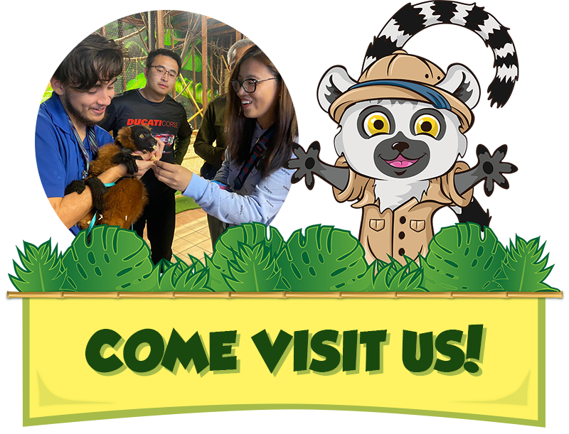 Lucky says Come Visit Us! Lucky says Come Visit Us!