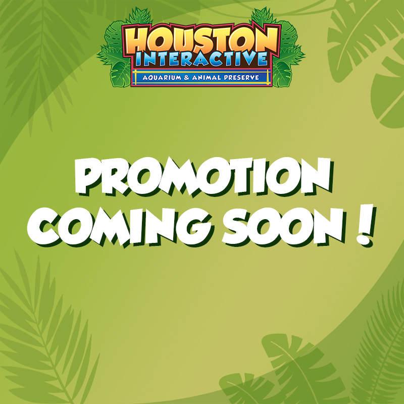Promotion Coming Soon! Promotion Coming Soon!