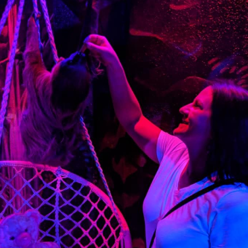 Sloth guest interaction Sloth guest interaction