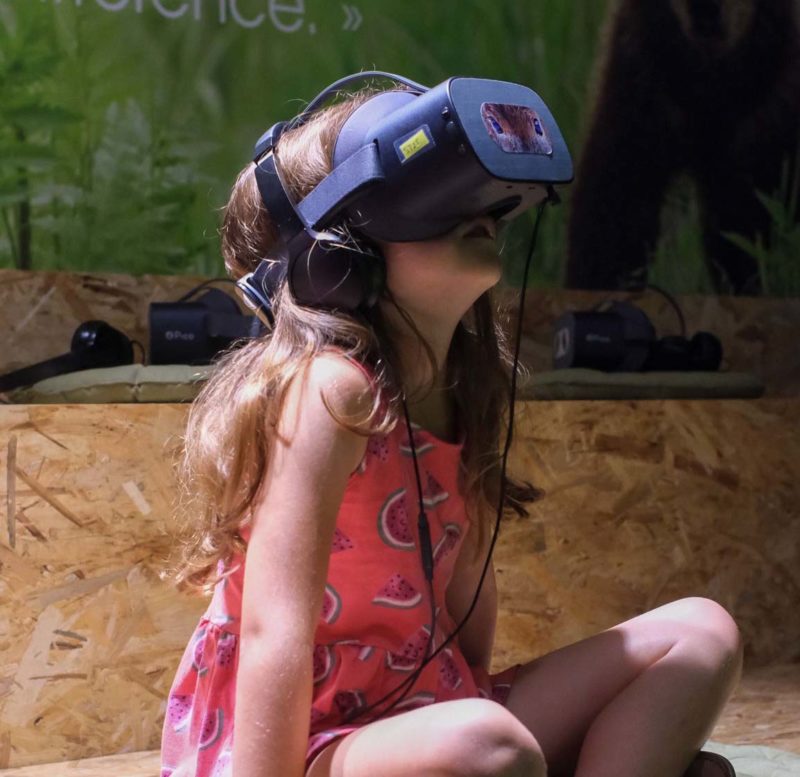 VR EXPEREINCE_