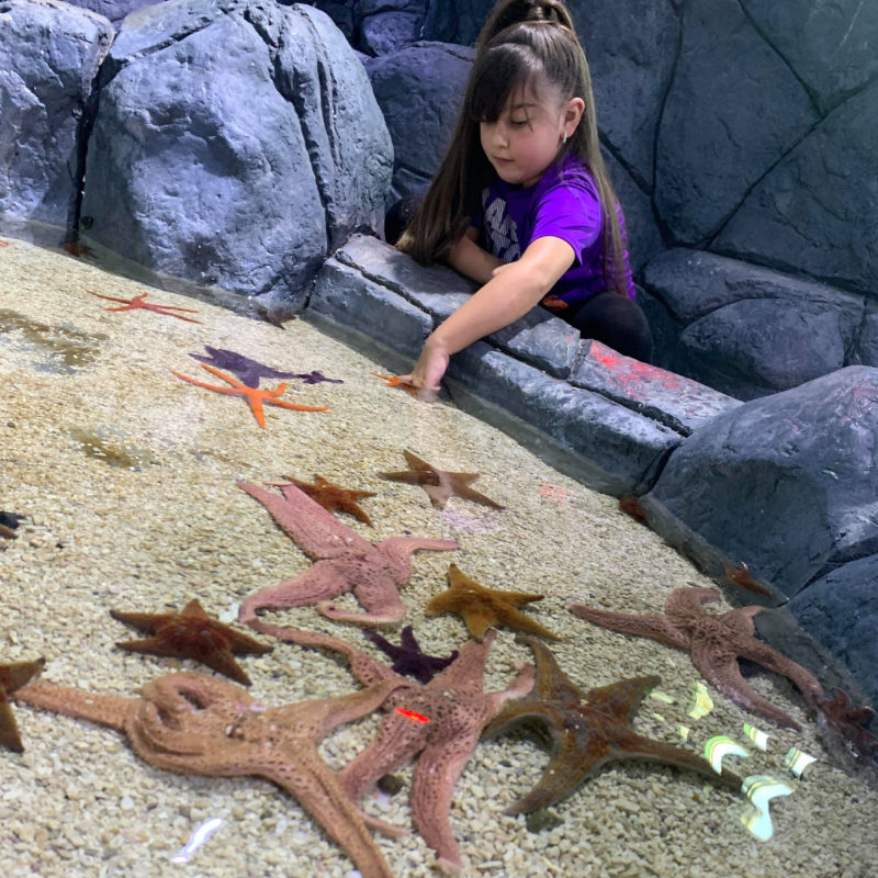 GIRL WITH SEA STARS-01
