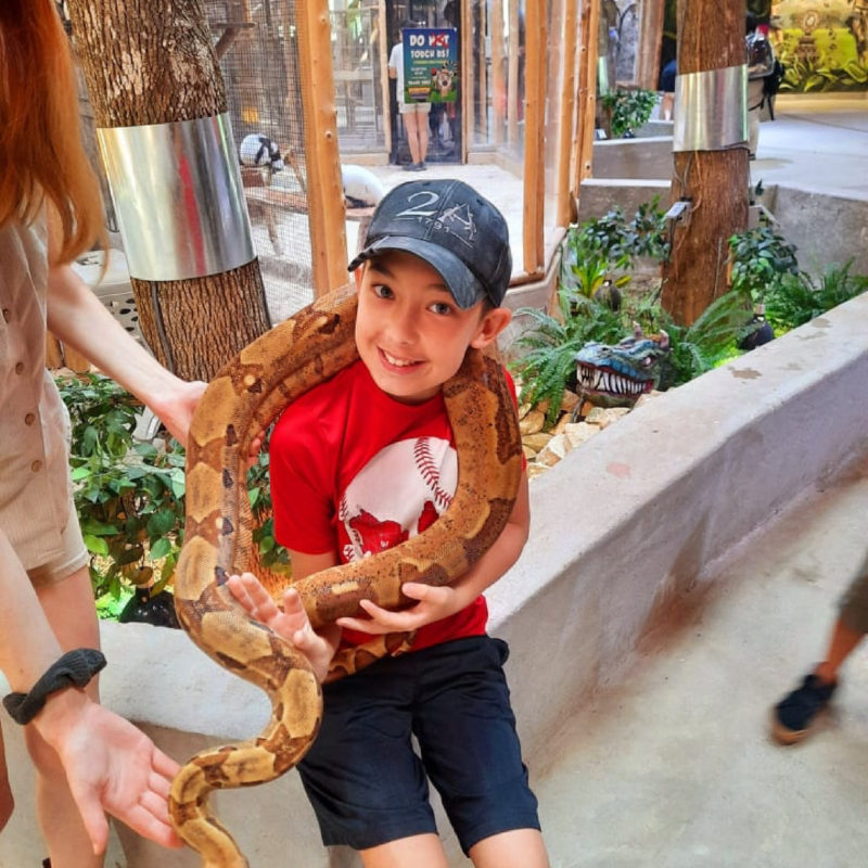 HA_BOY WITH PYTHON-01