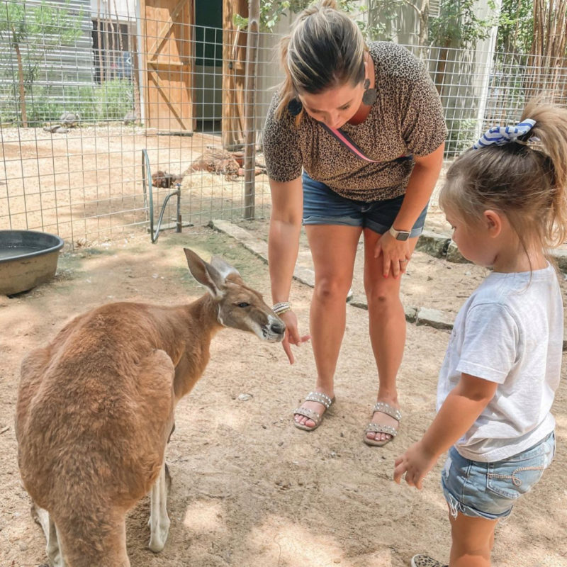 HA_MOM&GIRL WITH KANGAROOS-01